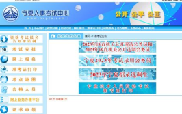 宁夏人事考试中心官网,权威发布，一站式人才选拔服务平台