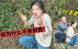农家野丫头,逆境成长，谱写乡村传奇